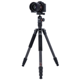 Tripod | Carbon | C5i